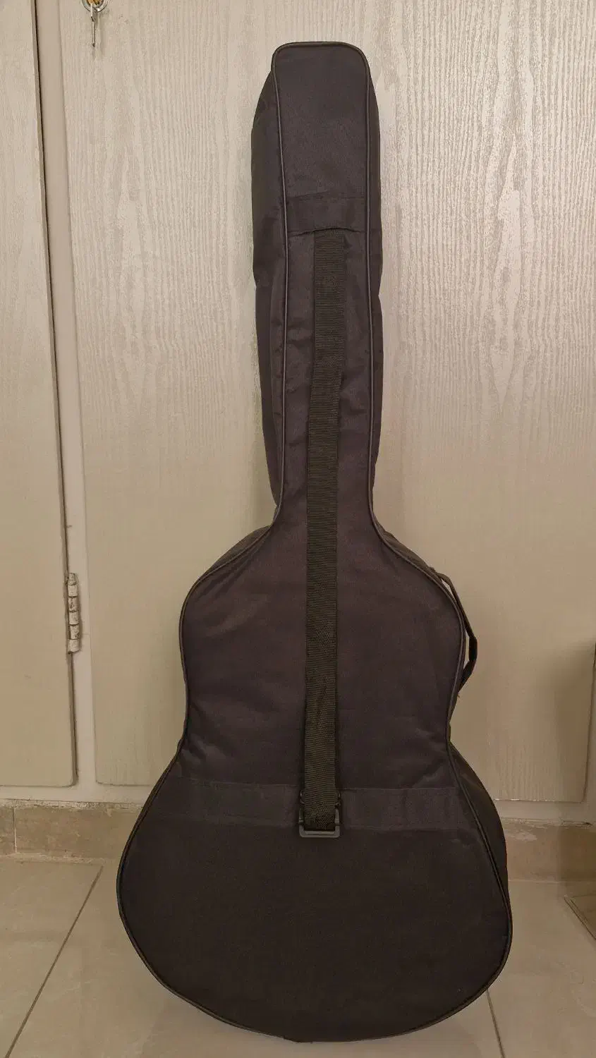 گیتار نو|گیتار، بیس، امپلیفایر|فردیس, سرحدی|دیوار