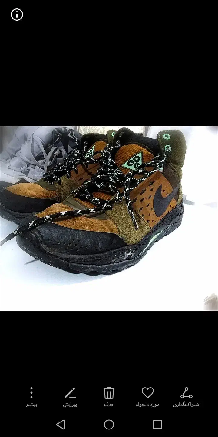 کفش اورجینال|کیف، کفش، کمربند|مشهد, سید رضی|دیوار