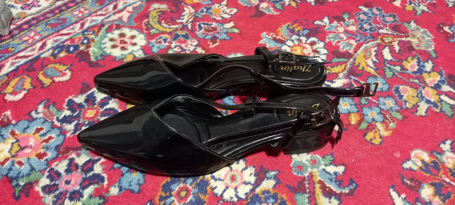 کفش|کیف، کفش، کمربند|همدان, |دیوار