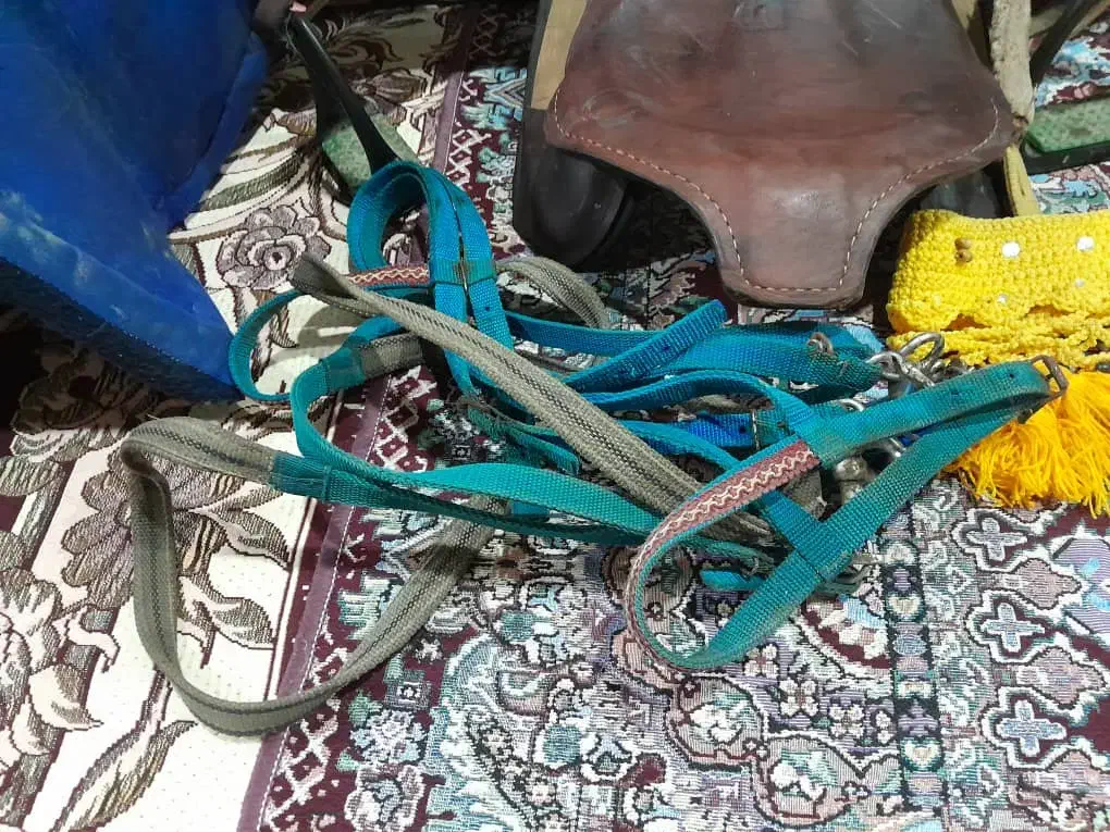 زین اسب|اسب و تجهیزات اسب‌سواری|چابکسر, |دیوار