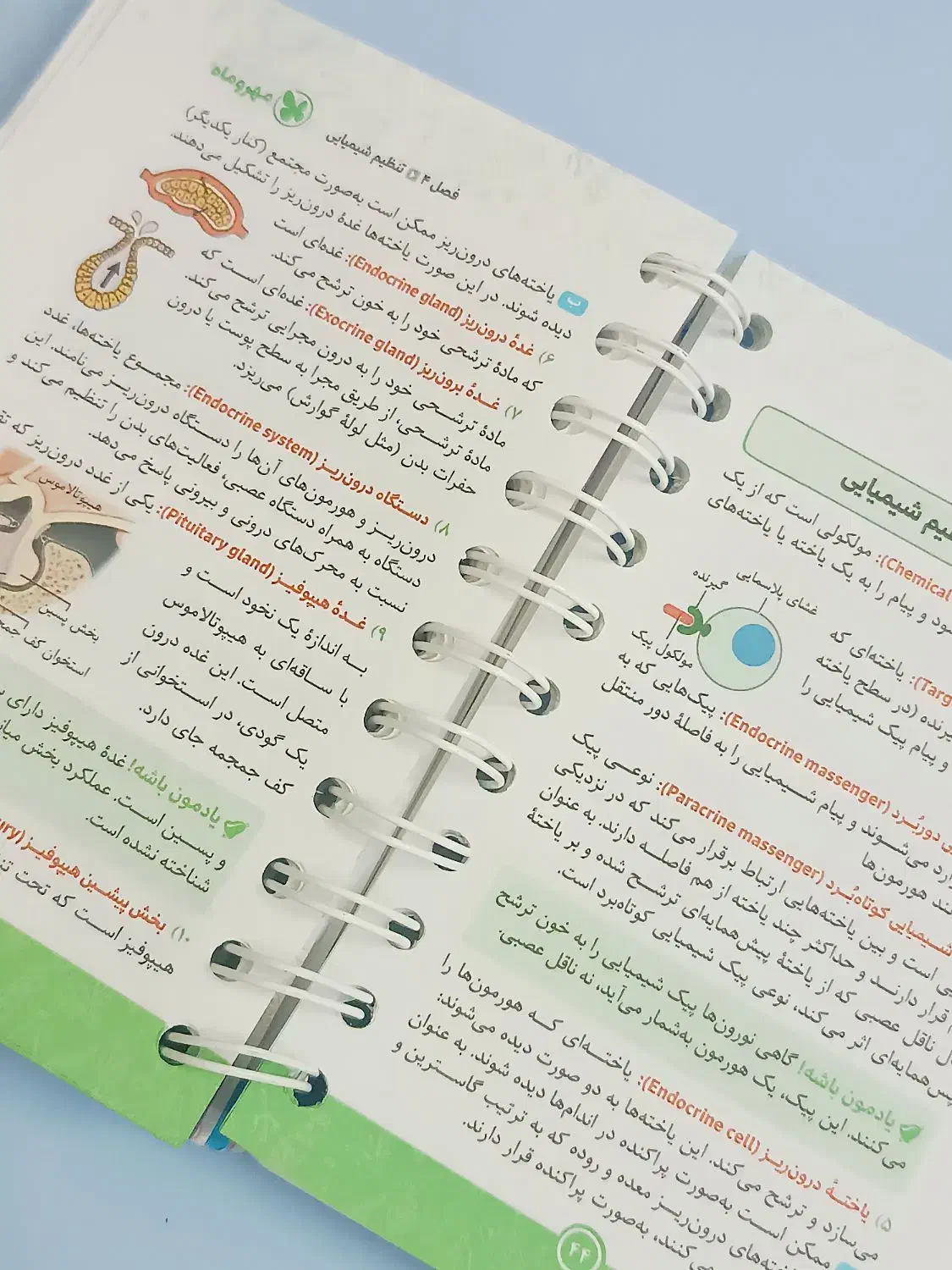 کتاب زبان دوازدهم و زیست یازدهم کاملا نو|کتاب و مجله آموزشی|قم, تولید دارو و یخچال|دیوار