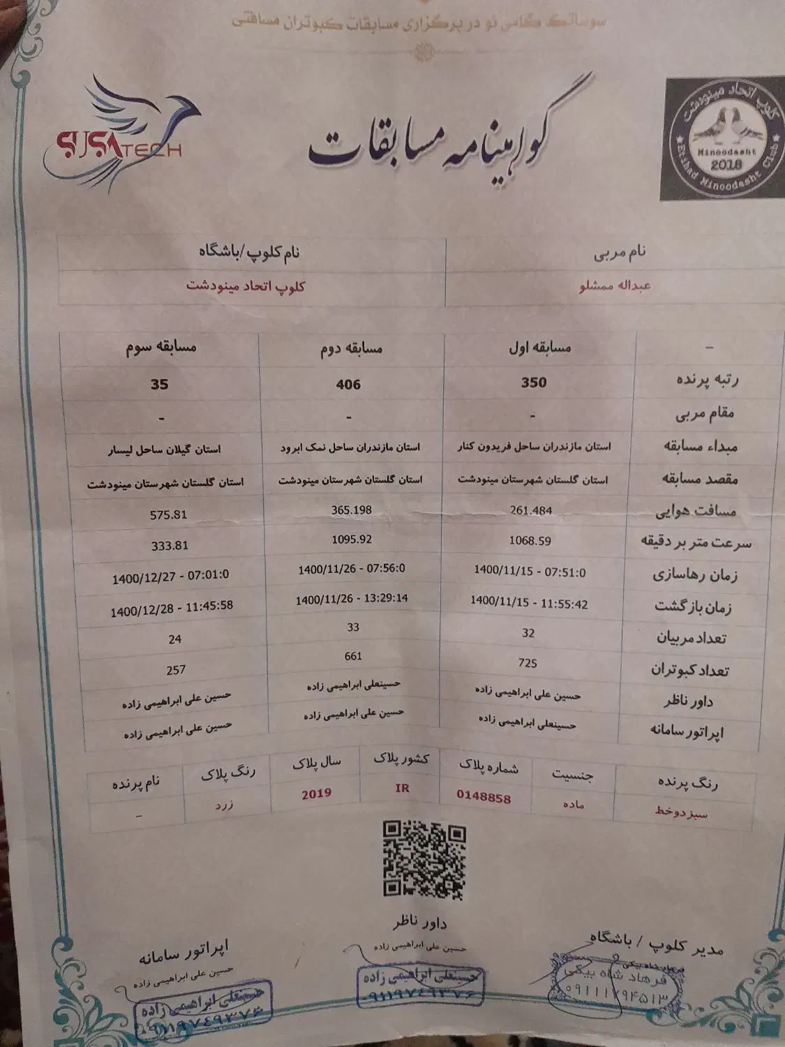 کفتر پلاکی|پرنده|تربت‌حیدریه, شهید بهشتی|دیوار