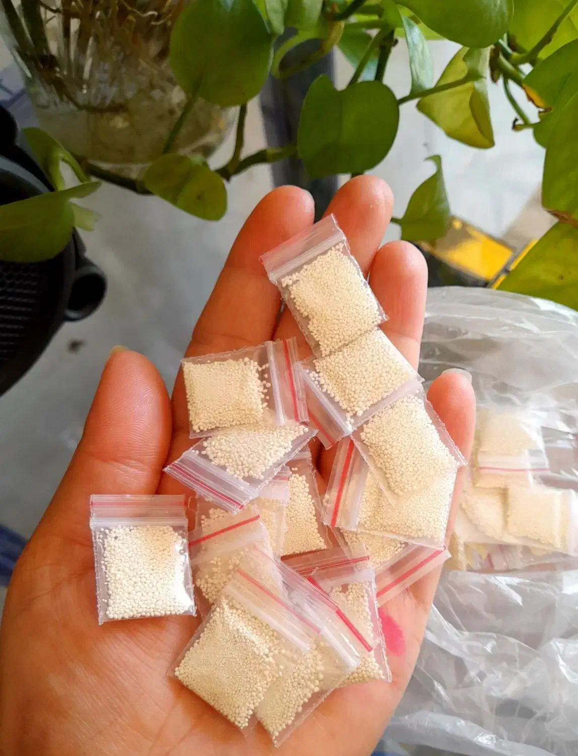 پودر شپش تضمینی و حتمی|آرایشی، بهداشتی، درمانی|بیرجند, |دیوار