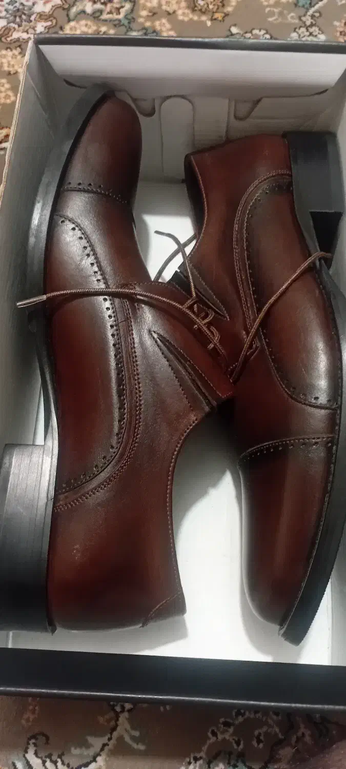 کفش مجلسی برند کیاک سایز ۴۲ کاملا نو|کیف، کفش، کمربند|تهران, سبلان (لشگر)|دیوار