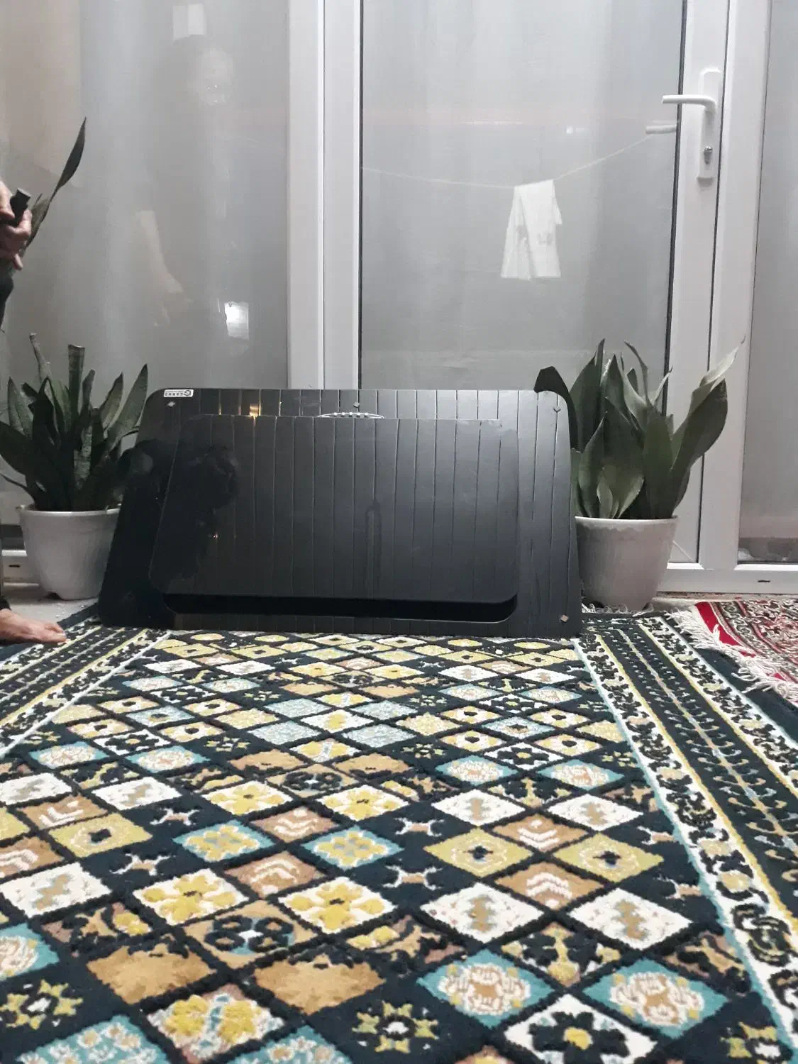 هود|هود|لنگرود, |دیوار