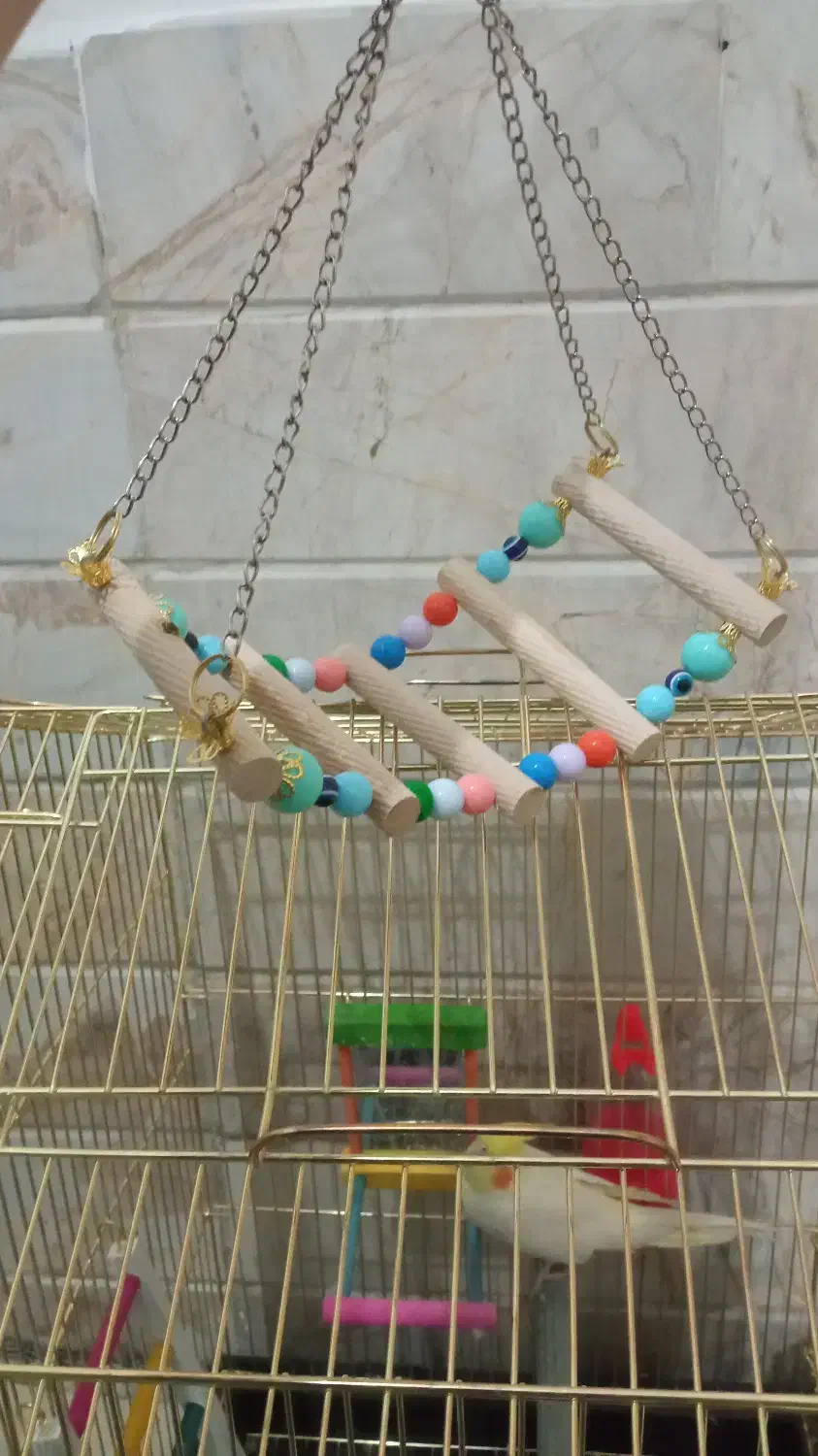 اسباب بازی|پرنده|قم, نیروگاه|دیوار