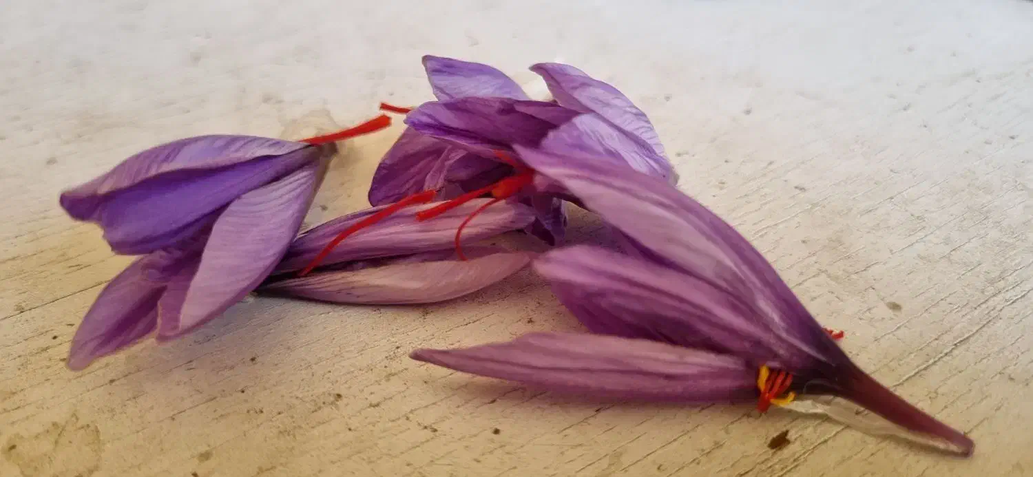 خرید و فروش کلی و جزیی|خوردنی و آشامیدنی|خرم‌آباد, |دیوار