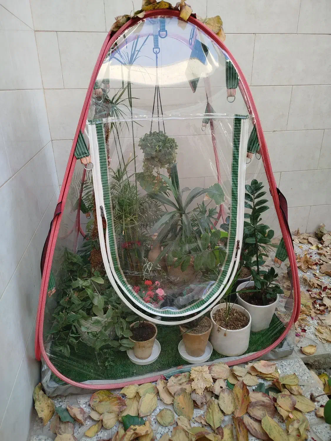 گلخانه خانگی اصفهان|خدمات پیشه و مهارت|فولادشهر, C4|دیوار