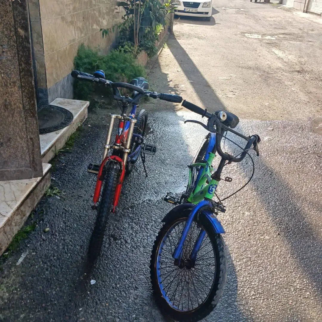 دوچرخه ۲۰ معاوضه با اردک یا مرغ به قیمت|دوچرخه، اسکیت، اسکوتر|رشت, یخسازی|دیوار