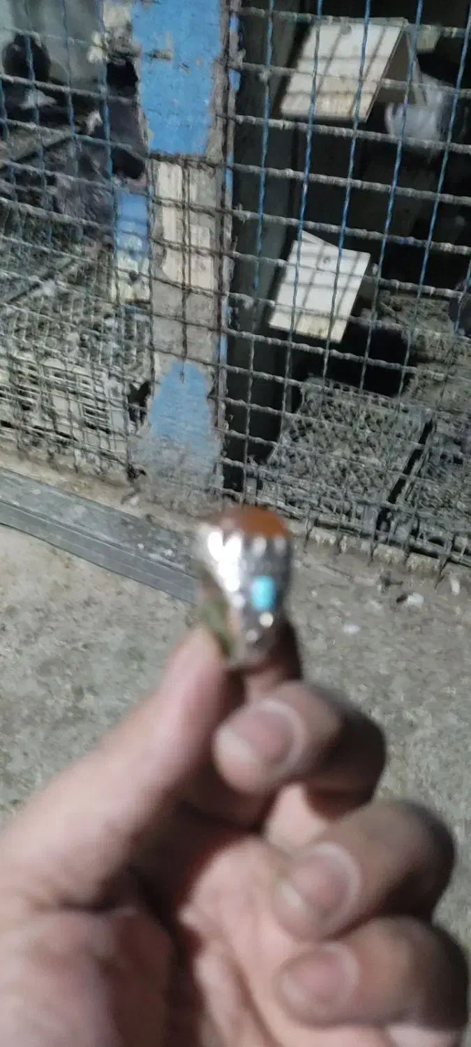 انگشتر شجر|جواهرات|بیرجند, |دیوار