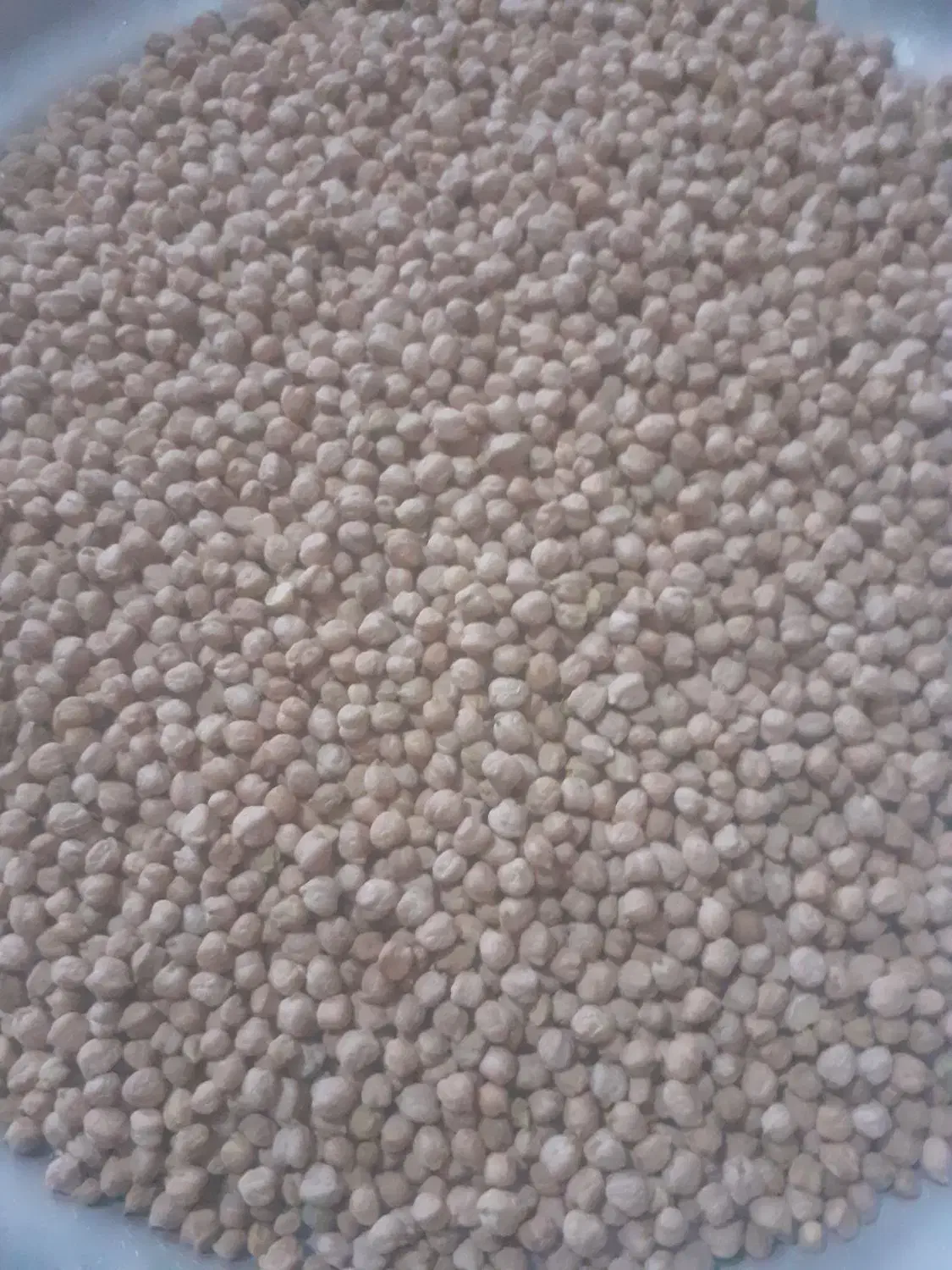 فروش ۱۵۰۰کیلو نخود زود پز تمیز|خوردنی و آشامیدنی|آوج, |دیوار