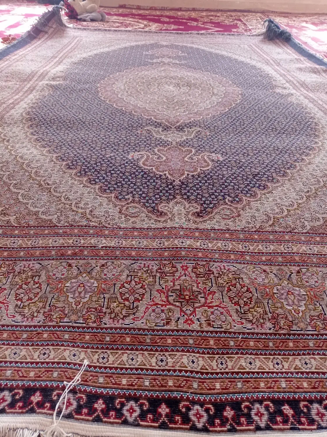 فرش دستباف ماهی|فرش|مرند, |دیوار