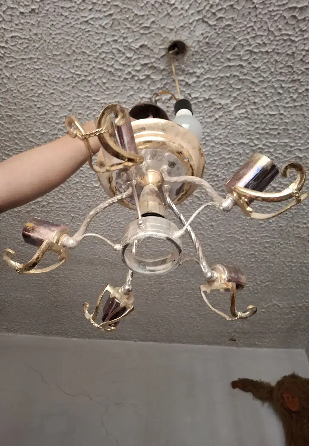 لوستر|لوستر و چراغ آویز|نجف‌آباد, هفده شهریور|دیوار