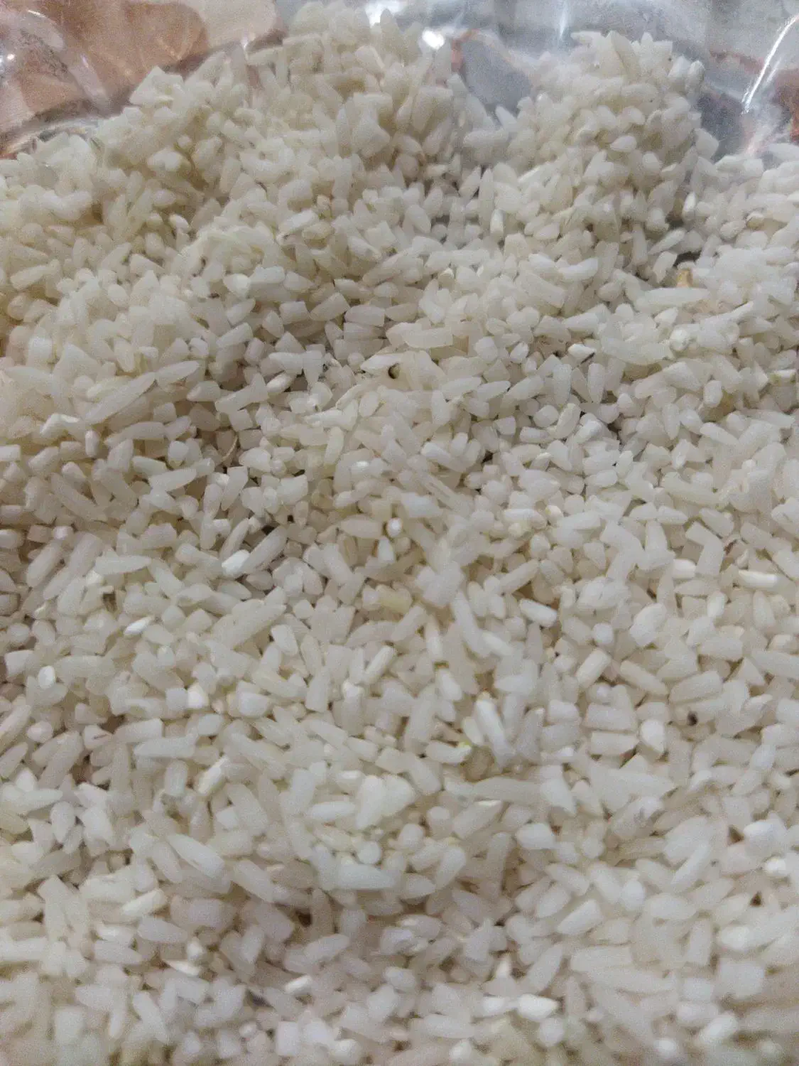 نیمهدانههاشمی|خوردنی و آشامیدنی|کوچصفهان, |دیوار