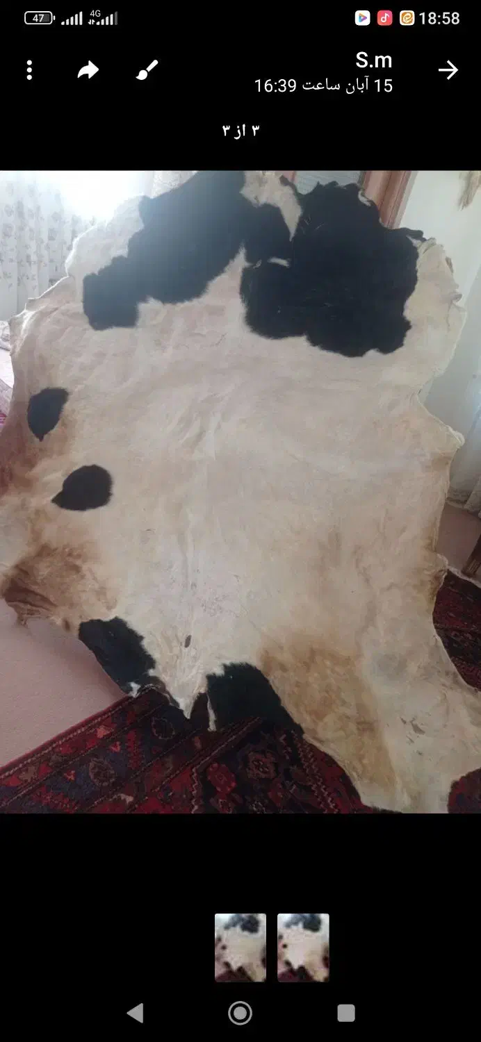 پوست تخت گوساله|صنایع دستی و سایر لوازم تزئینی|محمدیه-قزوین, |دیوار