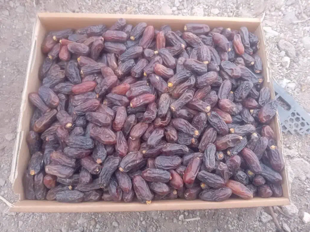 کارگر|استخدام خدمات فروشگاه و رستوران|تهران, خانی‌آباد|دیوار