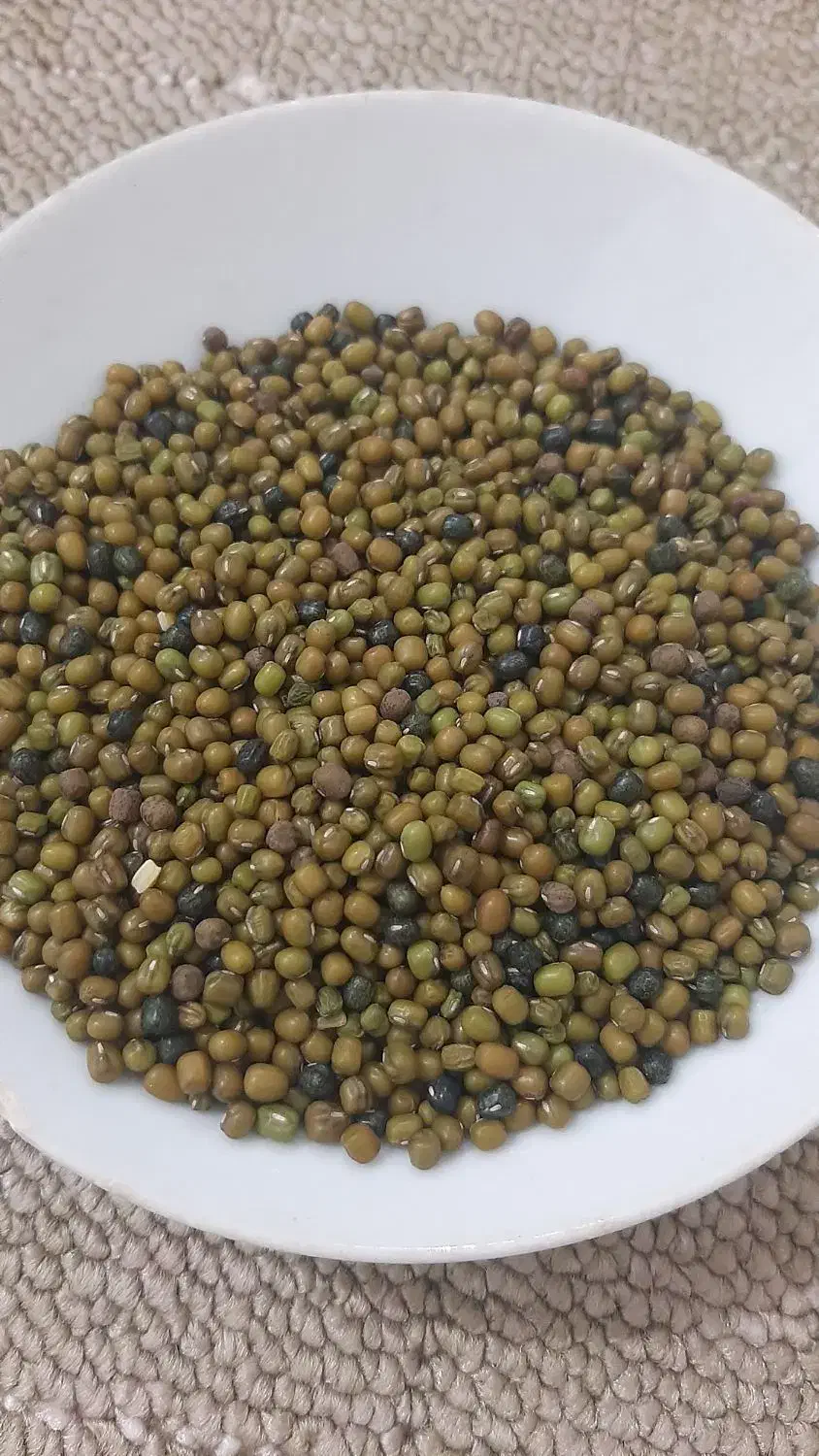 ماش ارتشی درجه یک کیلو ۱۲۰|خوردنی و آشامیدنی|دره شهر, |دیوار