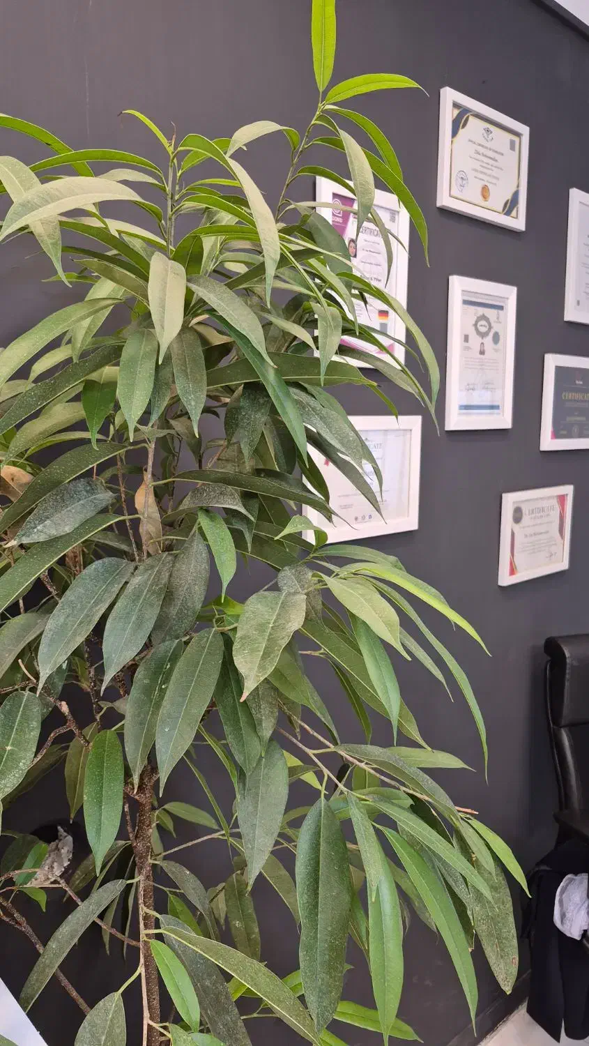 منشی /تایم صبح /کلینیک زیبایی پزشک خانم|استخدام درمانی، زیبایی، بهداشتی|یاسوج, |دیوار