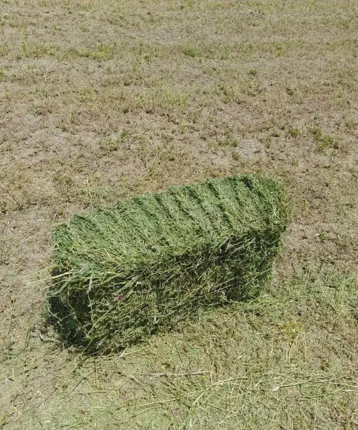 یونجه اعلاء چین چهارم|لوازم جانبی حیوانات|اصفهان, باغ فردوس|دیوار