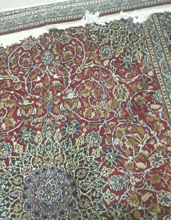 فرش دستباف مشهد|فرش|ری, حمزهآباد|دیوار