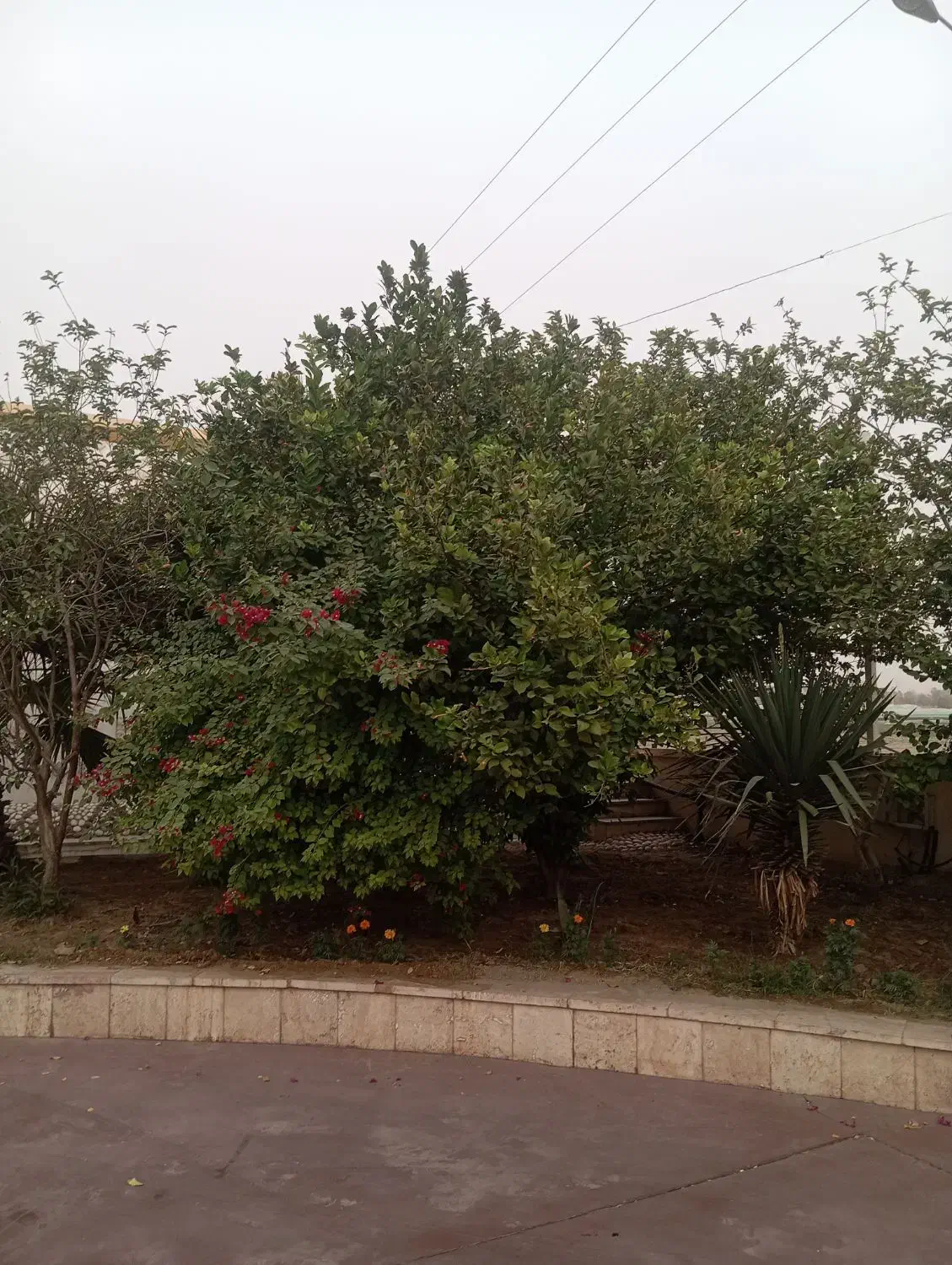 اکیپ داربست فلزی وساندویچ پنل ورق..|خدمات پیشه و مهارت|جیرفت, |دیوار