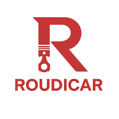 خدمات برق و انژکتور و آپشنال رودیکار|خدمات موتور و ماشین|اصفهان, فرح آباد|دیوار