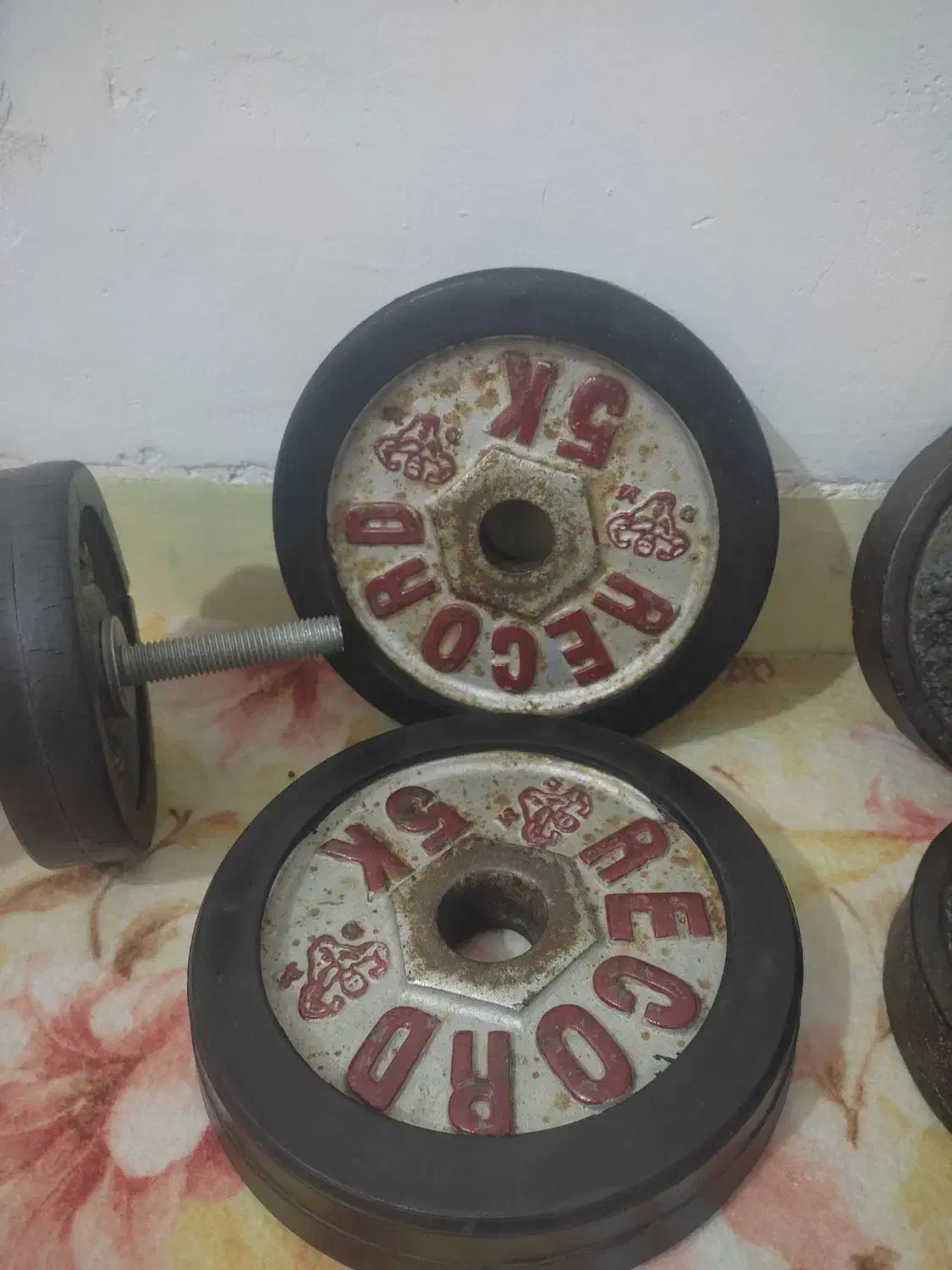 دمبل|تجهیزات ورزشی|سرپل ذهاب, |دیوار