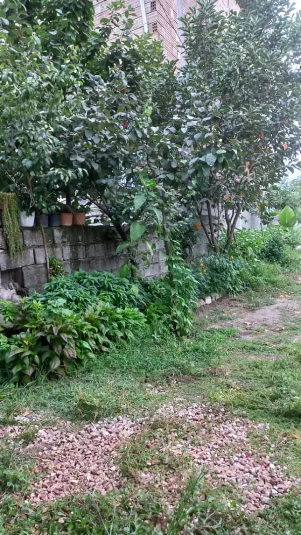 سوییت|اجارهٔ کوتاهمدت آپارتمان و سوئیت|حویق, |دیوار