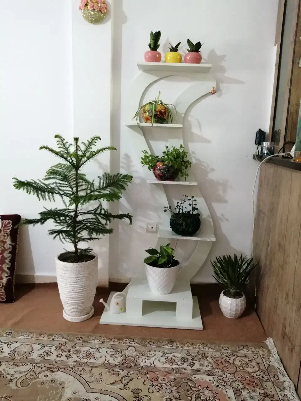 شلف|کتابخانه، شلف، قفسه‌های دیواری|قدس, شهر‌قدس|دیوار