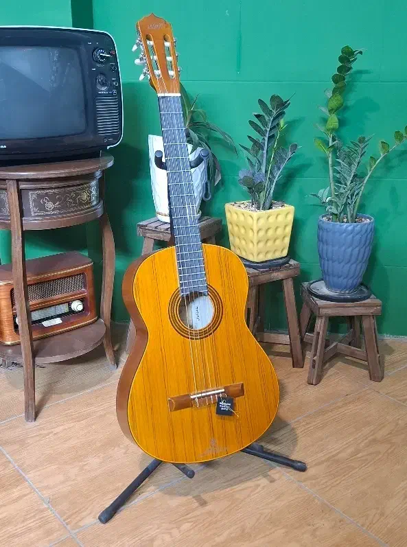 گیتار پارسی M5|گیتار، بیس، امپلیفایر|یزد, |دیوار