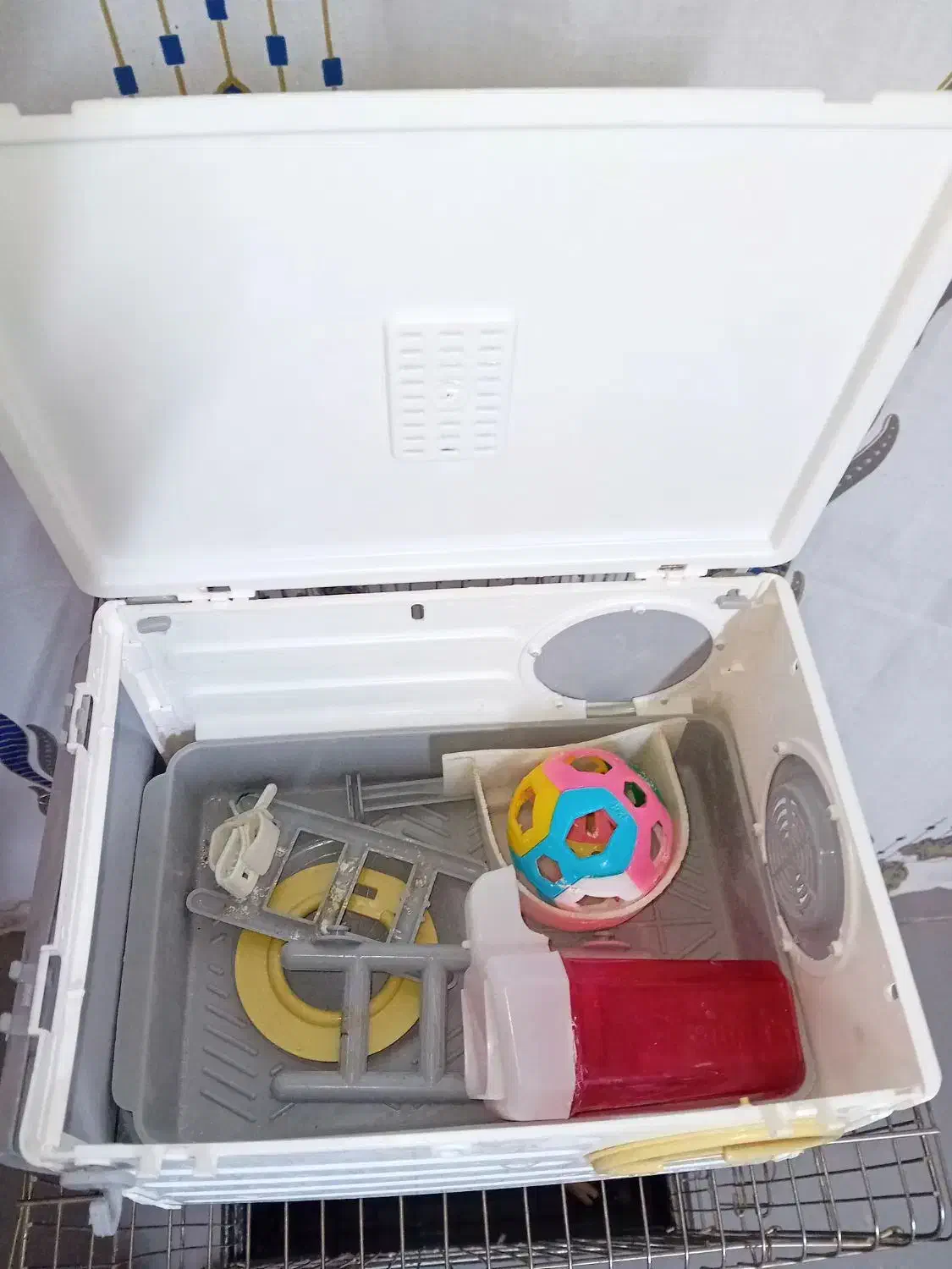 قفس طوطی و کاسکو|لوازم جانبی حیوانات|قم, قلعه کامکار|دیوار