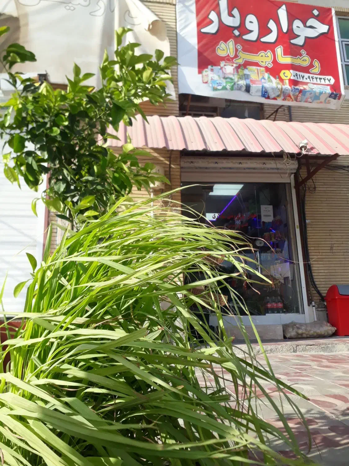 رهن کامل مغازه ۳۴ متری 300 تومان|اجارهٔ مغازه و غرفه|بندرعباس, |دیوار