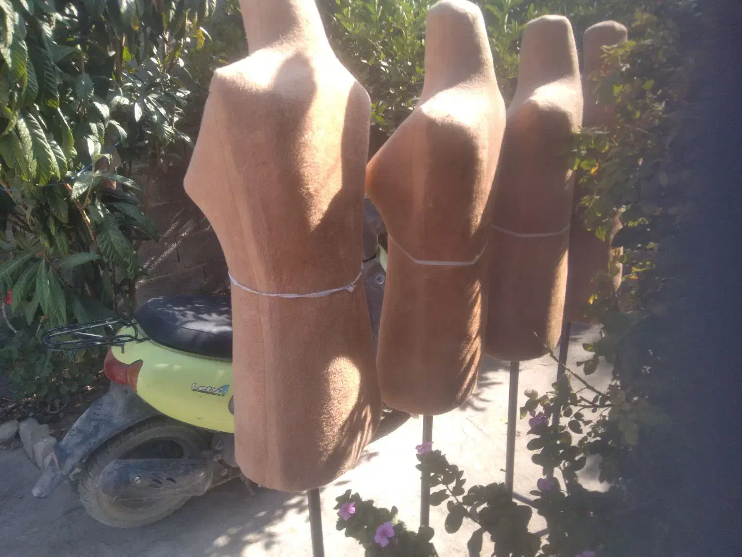 مانکن|فروشگاه و مغازه|فیروزآباد (فارس), |دیوار