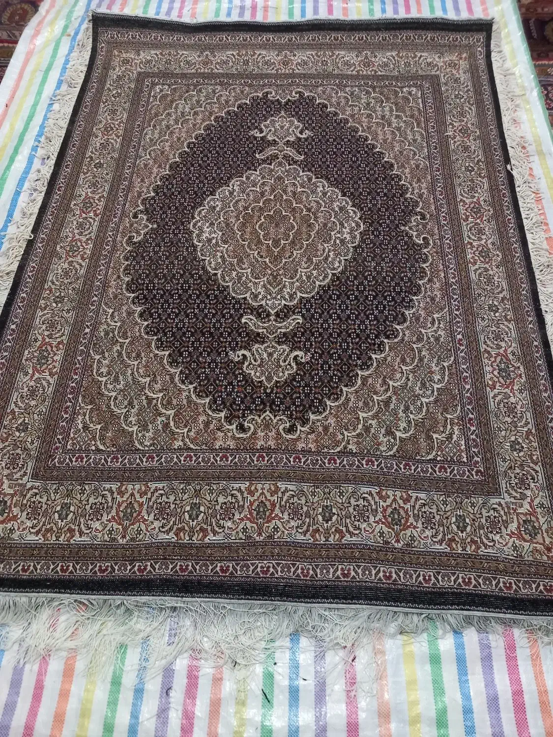 فرش دستبافت سورمه ای|فرش|خوی, |دیوار