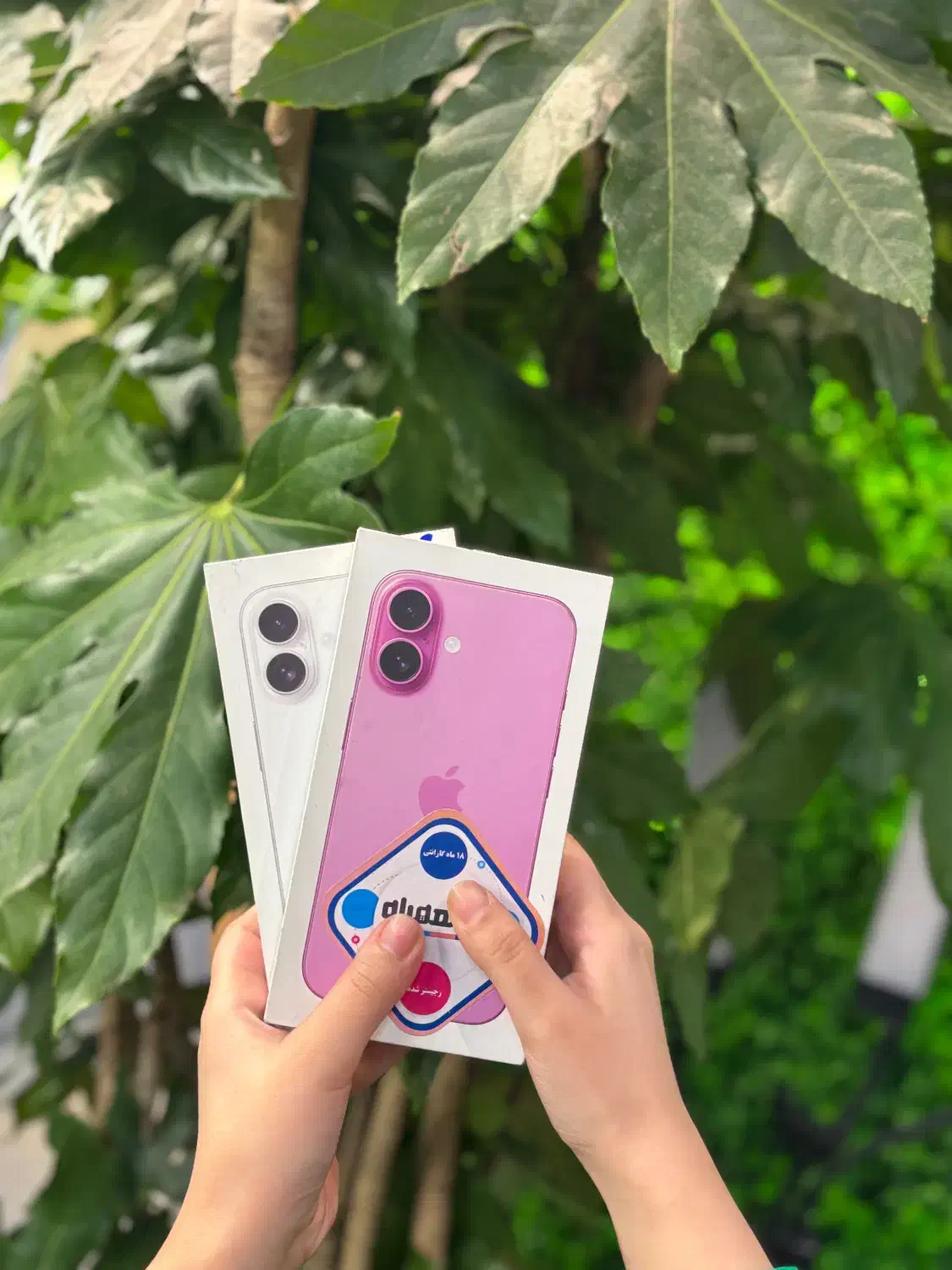 Iphone 16 normal|موبایل|تهران, شهرک پردیسان|دیوار