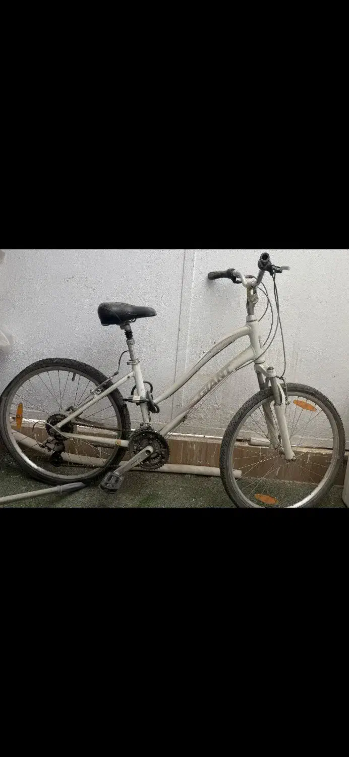 دوچرخه جاینت|دوچرخه، اسکیت، اسکوتر|صدرا-فارس, فاز ۱|دیوار