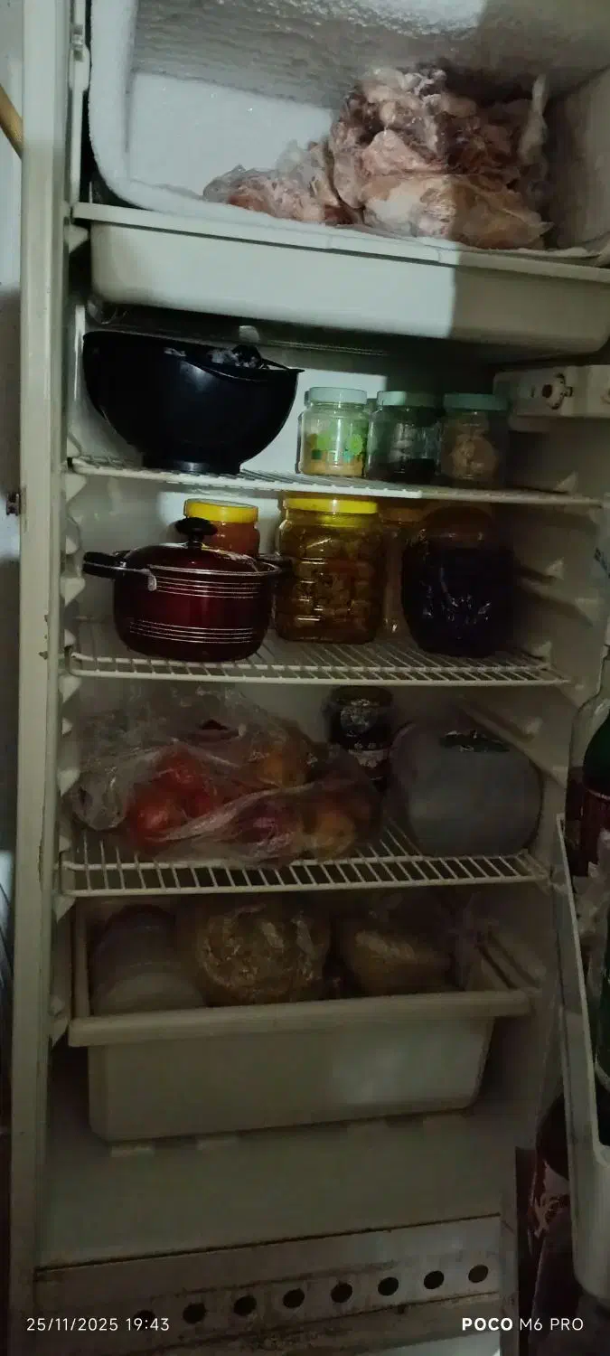 یخچال جنرال استیل اصل|یخچال و فریزر|یاسوج, |دیوار