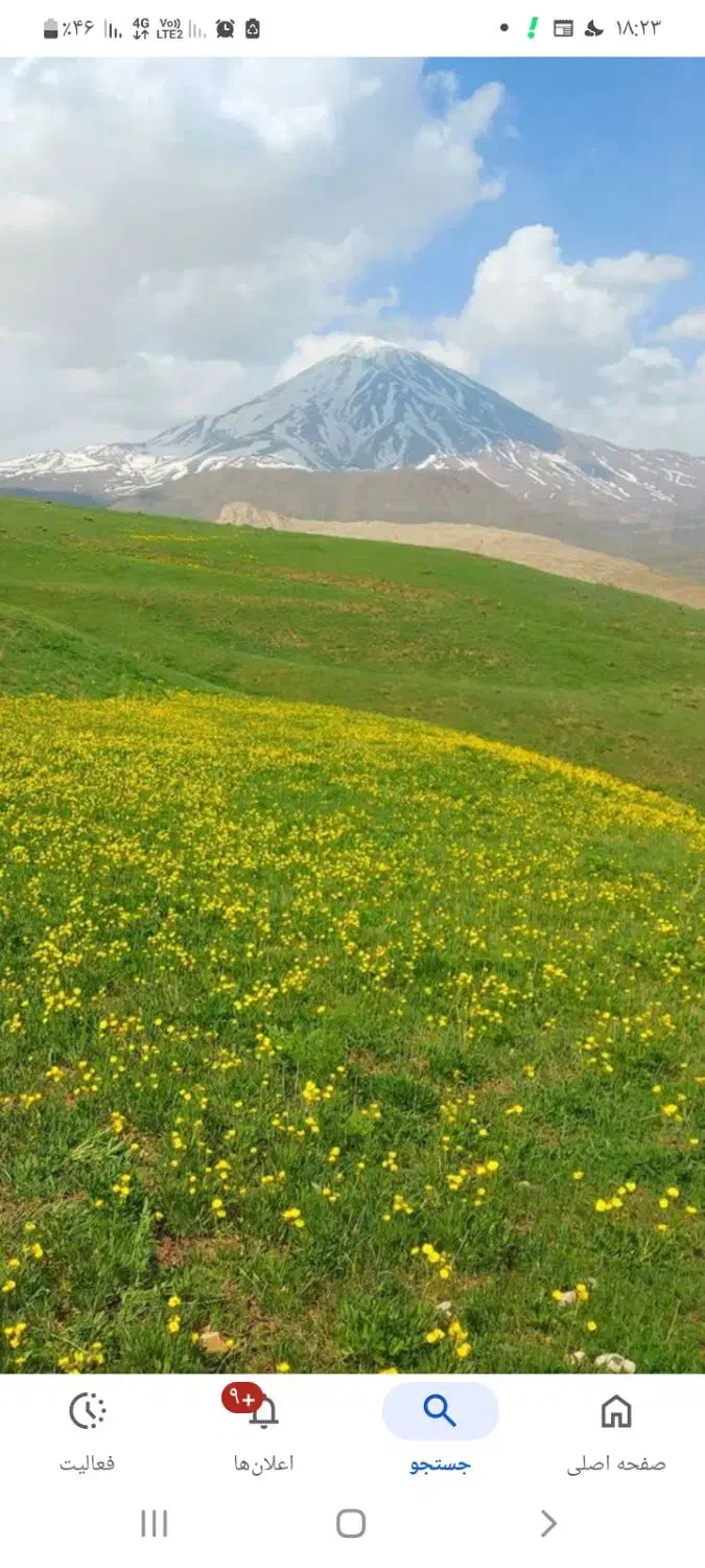 زمین مسکونی در گل زرد پلور با پروانه ساخت|فروش زمین و ملک کلنگی|رینه, |دیوار