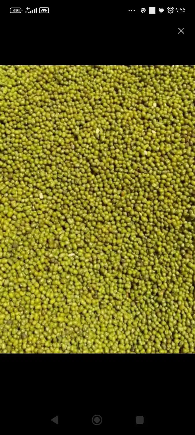 ماشک|خوردنی و آشامیدنی|نورآباد ممسنی, |دیوار