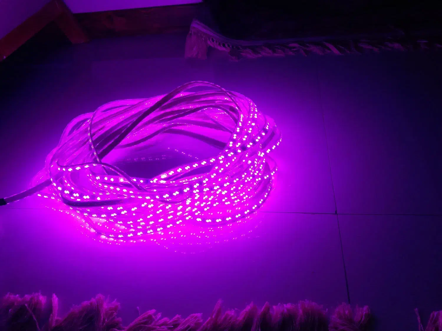 ریسه SMD|ریسه و چراغ تزئینی|سمنان, |دیوار