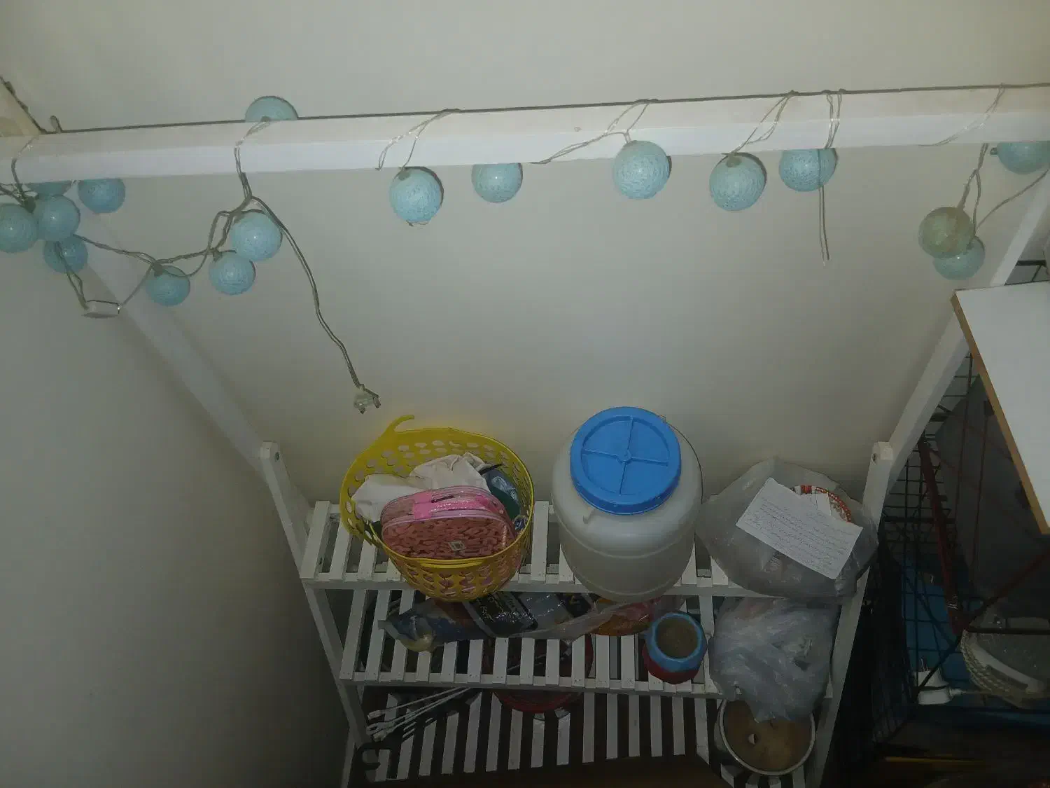 جا گلدونی|گل و گیاه طبیعی|شهرکرد, |دیوار