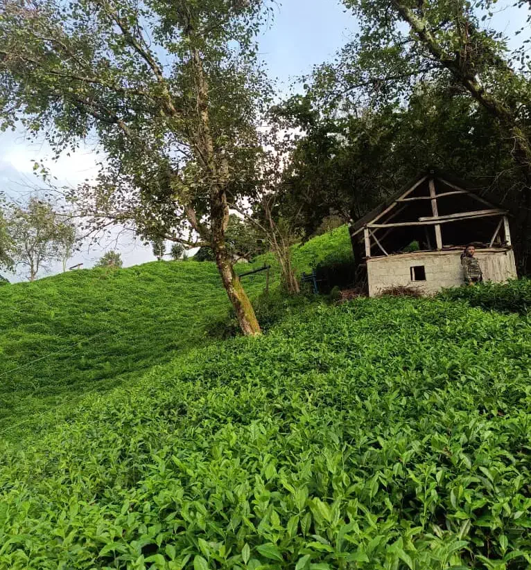 کارگر ساده و فنی با جای خواب و وعده غذایی|استخدام صنعتی، فنی، مهندسی|تبریز, |دیوار