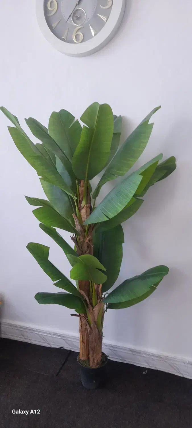 درخچه|گل مصنوعی|اهواز, سیاحی(سه راه خرمشهر)|دیوار