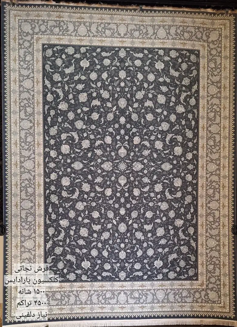 تراکم بالا /قسطی بخر/پیش پرداخت ندارد|فرش|مشهد, شیرودی|دیوار