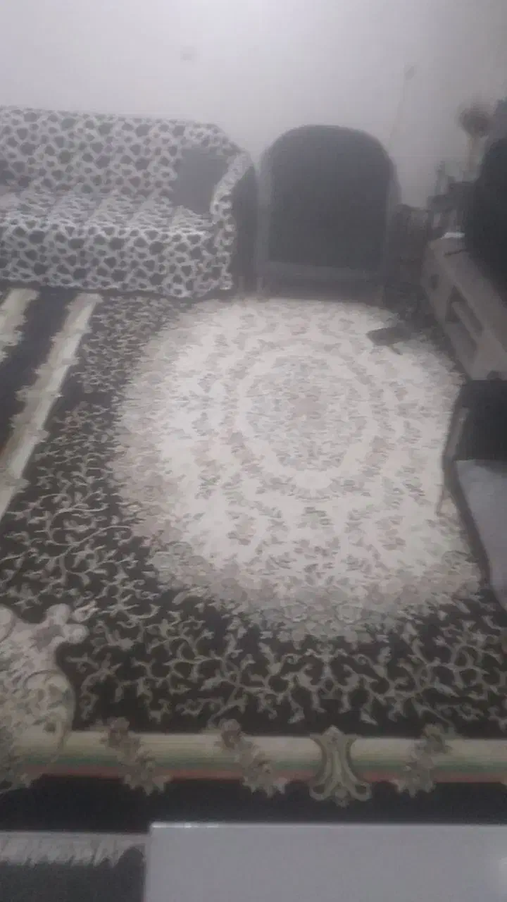 قالی|فرش|مسجد سلیمان, |دیوار