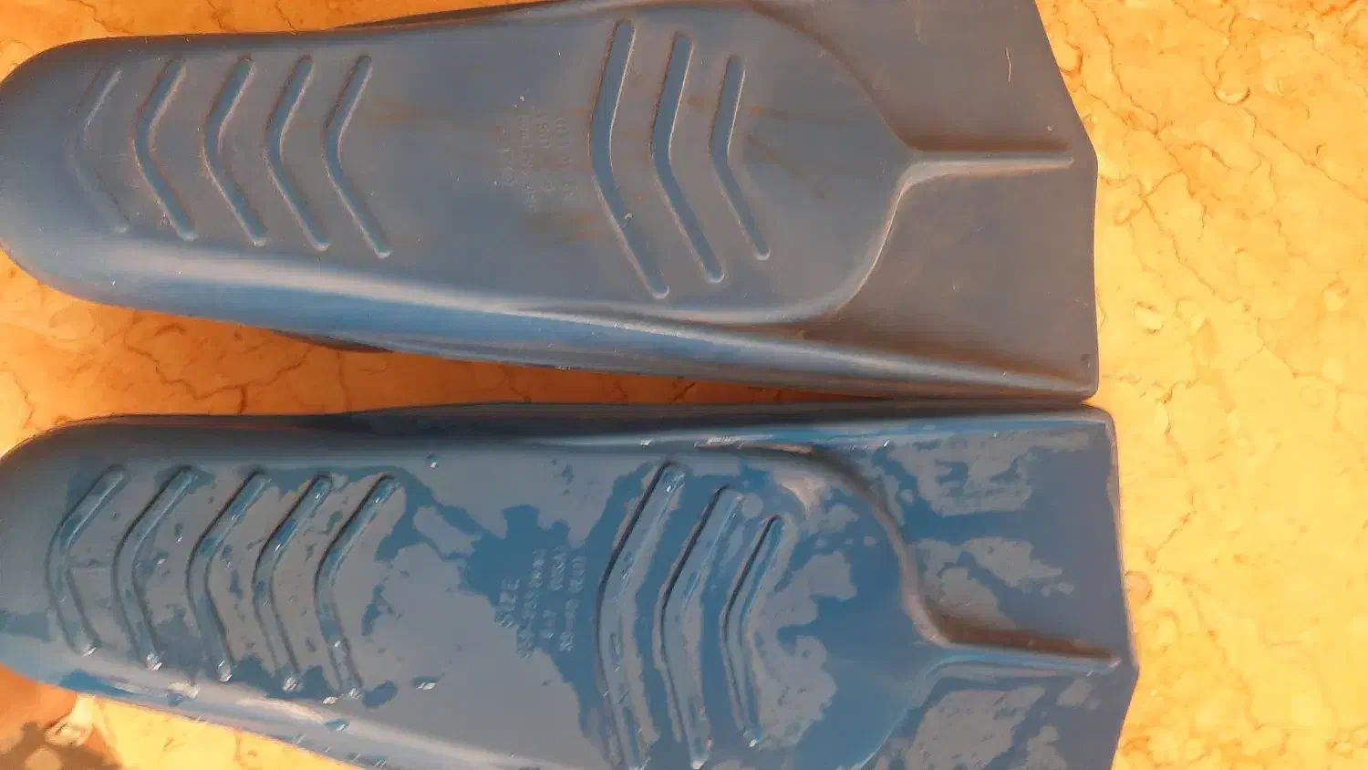 فین قدرتی اسپیدو اصل|غواصی و ورزشهای آبی|تهران, دانشگاه شریف|دیوار