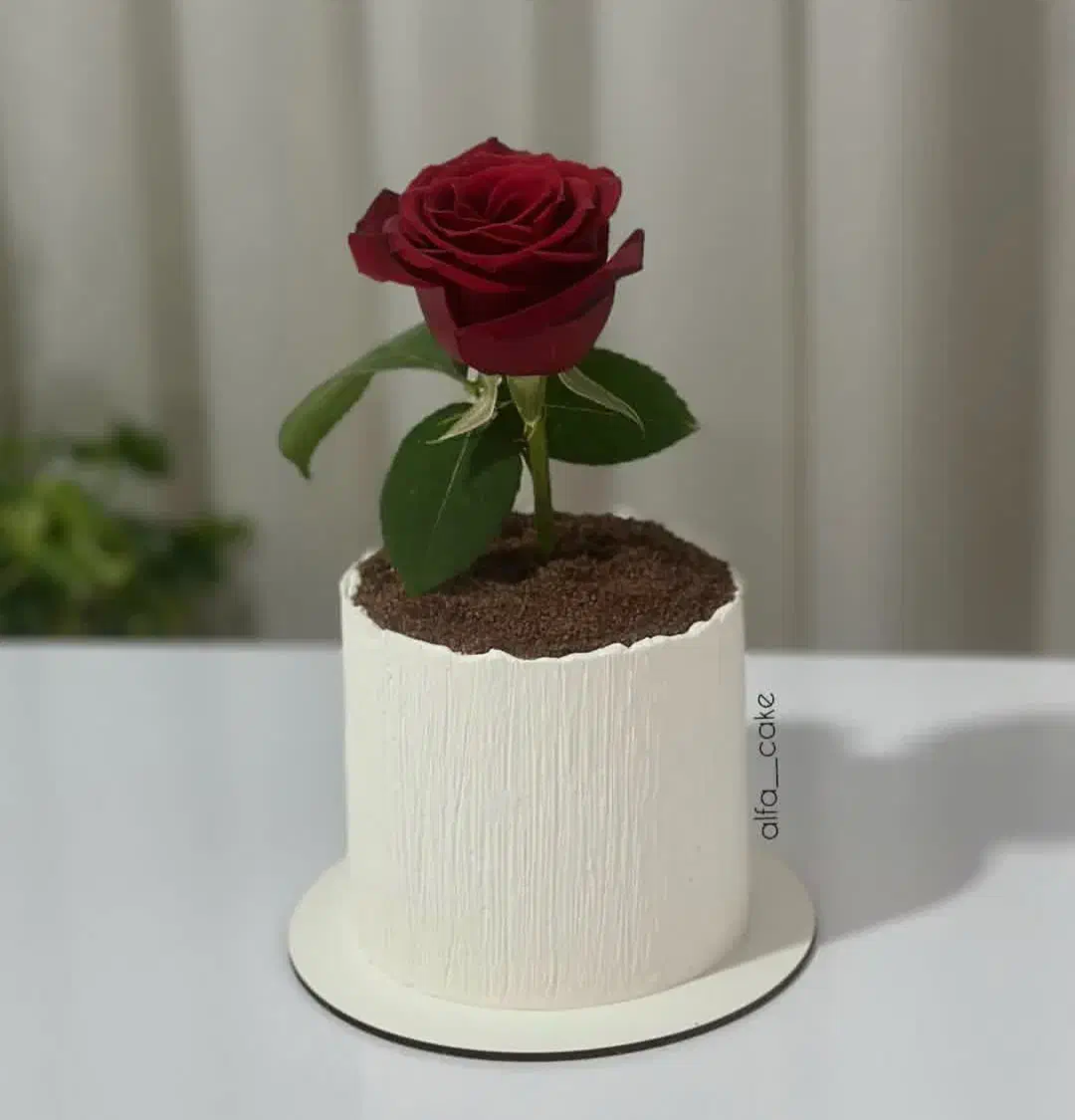 کیک مناسبتی روز زن و روز مادر|خوردنی و آشامیدنی|ایذه, |دیوار