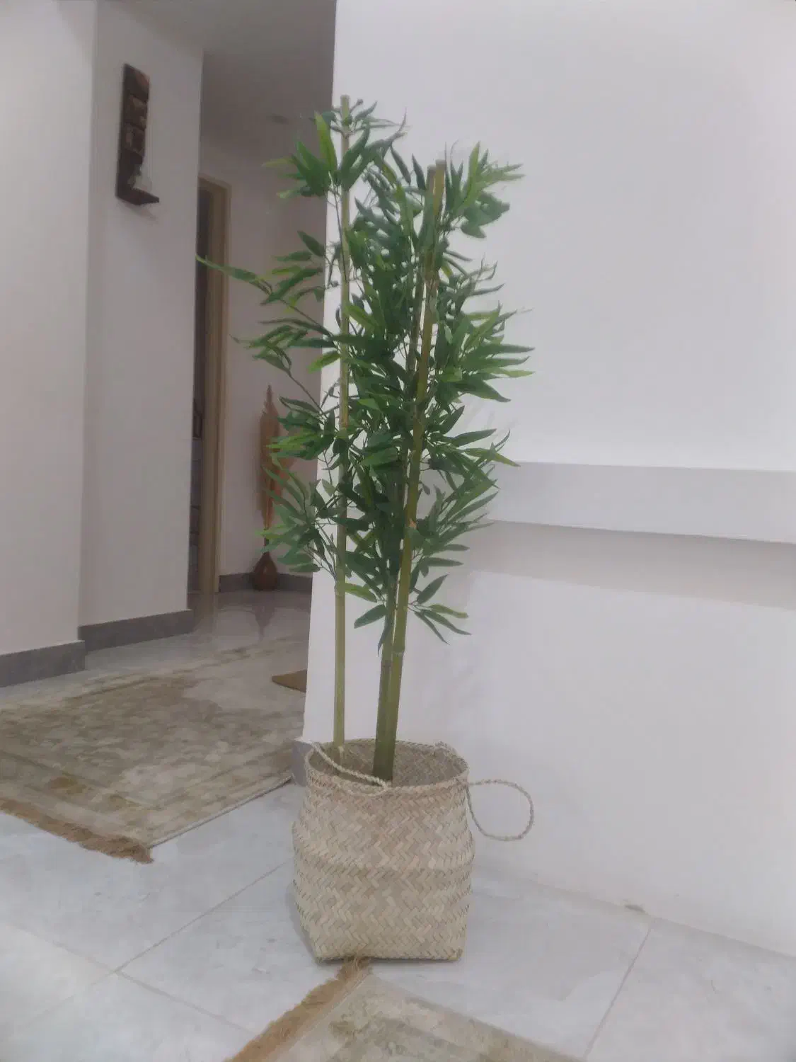 درختچه بامبو|گل مصنوعی|رشت, نظری|دیوار