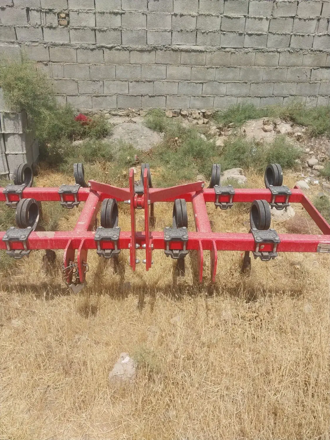 پنجه قازی|فعالیت داوطلبانه تحقیقاتی|دره شهر, |دیوار