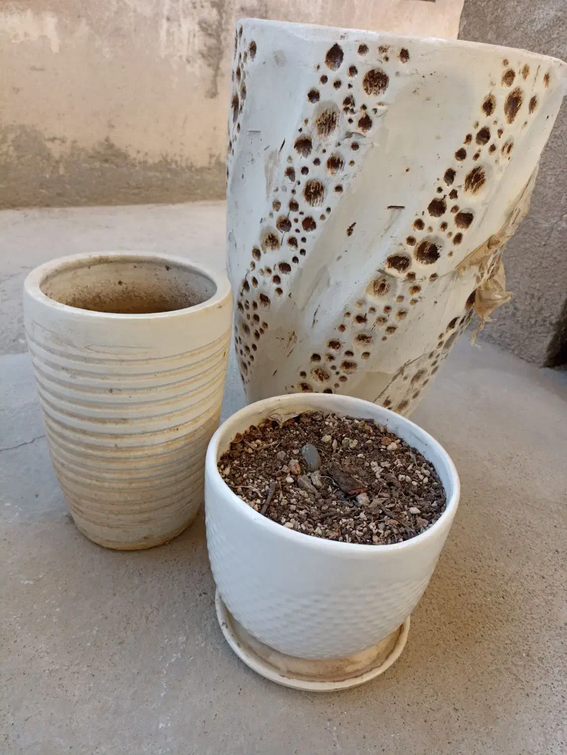 سه عدد گلدون نو و سالم|گل و گیاه طبیعی|زابل, |دیوار